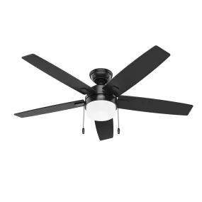 Anisten 52"   Ceiling Fan