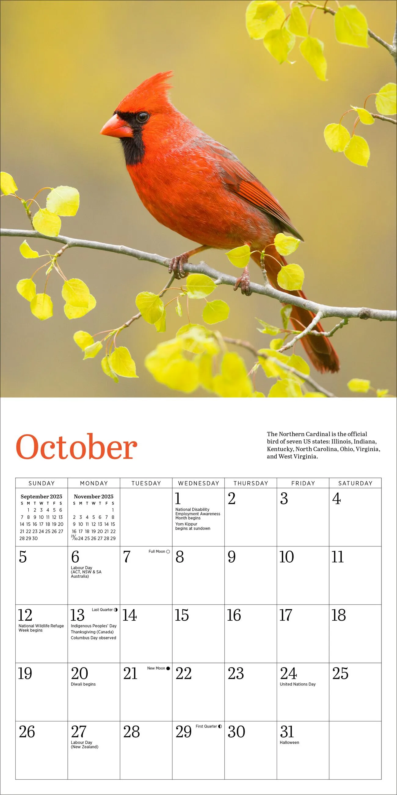 Audubon Cardinals 2025 Mini Wall Calendar