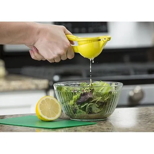 Citrus Hand Squeezer