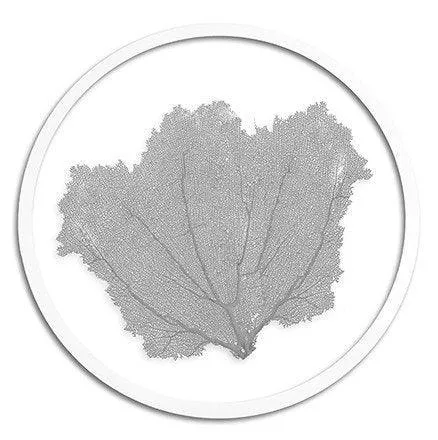 Classic Coastal Sea Fan Beach Wall Art