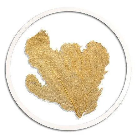 Classic Coastal Sea Fan Beach Wall Art