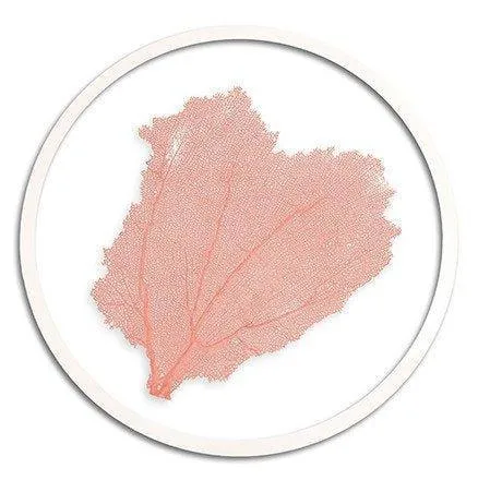 Classic Coastal Sea Fan Beach Wall Art