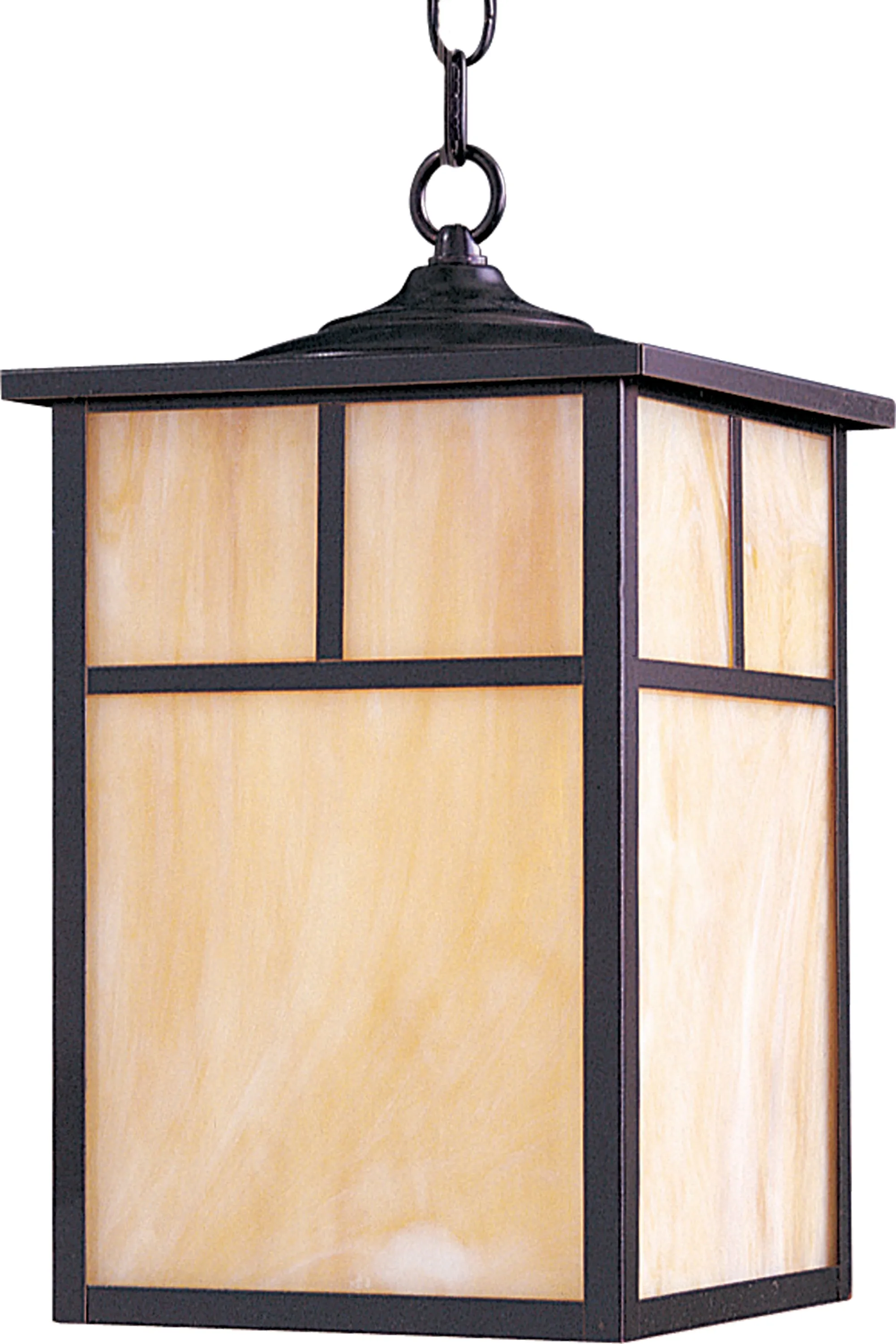 Coldwater 1-Light Outdoor Hanging Lantern