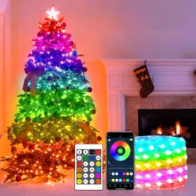 Dreamcolor Christmas Bluetooth Lights