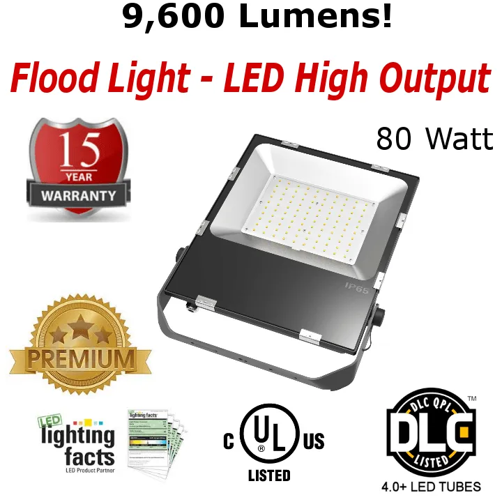 Flood Light LED 80 Watt - 9,600 Lumen - 5000K