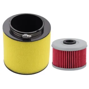 Hipa 17254-HP0-A00 Element Air Cleaner Oil Filter For Honda 420 400EX TRX420 TRX400EX TRX500FA TRX650FA TRX400X TRX500FM TRX500FPE TRX500FE