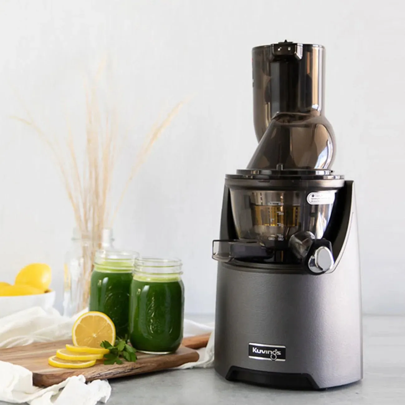 Kuvings ® EVO820 Whole Slow Juicer - Gun Metal