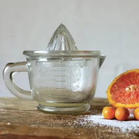 Pressed Glass Juicer