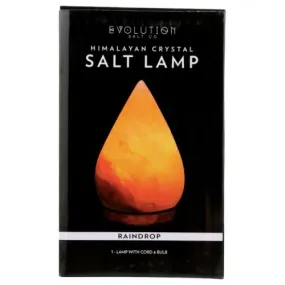 Raindrop Salt Lamp 1 Count By Evolution Salt