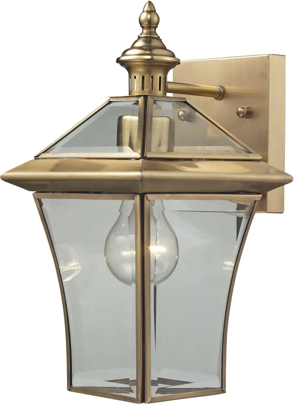 Riverdale 1 Light Outdoor Sconce In Brushed Brass