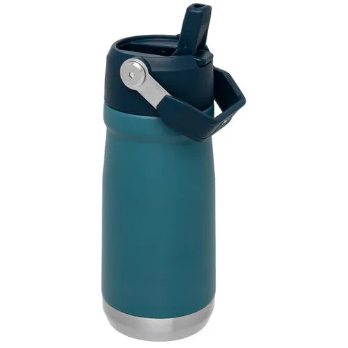 The IceFlow Flip Straw Water Bottle - 17 oz