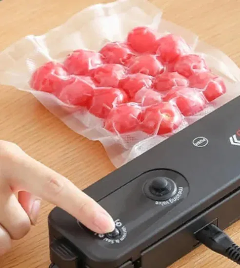 Vacuum Sealer to Stay Fresh Food