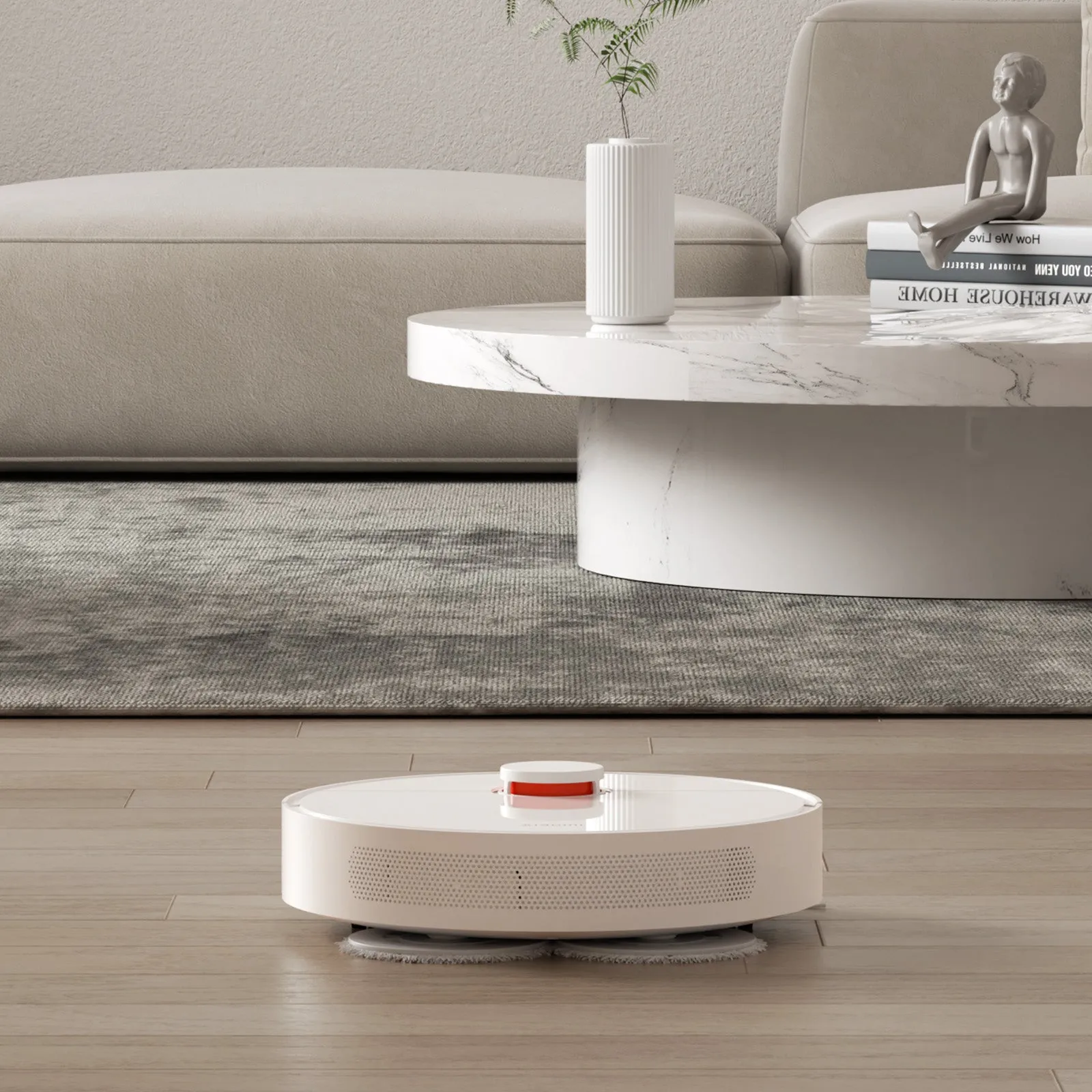 Xiaomi Robot Vacuum S10 